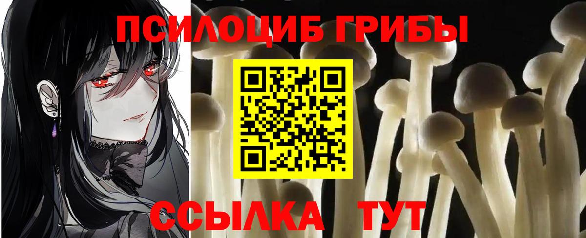 Псилоцибиновые грибы GOLDEN TEACHER Серов