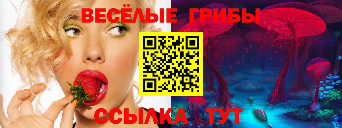сколько стоит  Вход с VPN  Серов  Псилоцибиновые грибы мухоморы 