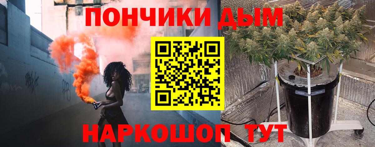 Бошки Шишки THC 21%  Бошки Шишки план  Серов  Канабис семена  Вход с VPN 